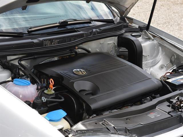 VOLKSWAGEN Golf 1.6MI/ 1.6MI GENER./BLACK & SILVER 2004