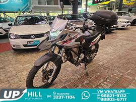 HONDA XRE 300 RALLY FLEX C/ABS 2020/2021
