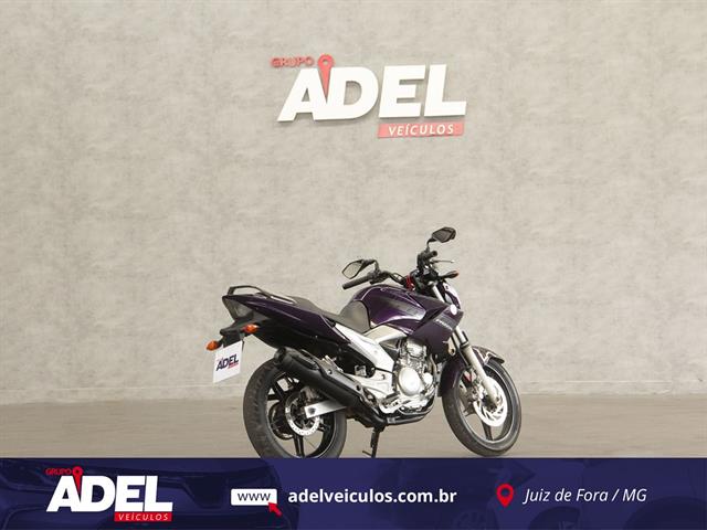 YAMAHA YS 250 FAZER/ FAZER L. EDITION /BLUEFLEX 2011