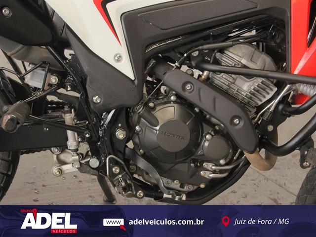HONDA XR TORNADO 300 XR TORNADO 300 2025