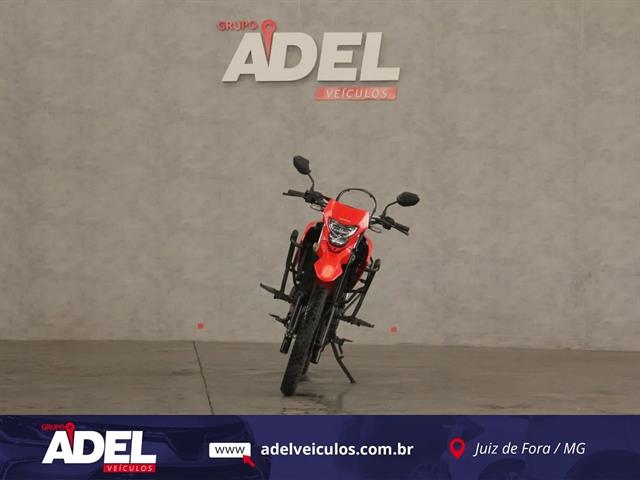 HONDA XR TORNADO 300 XR TORNADO 300 2025